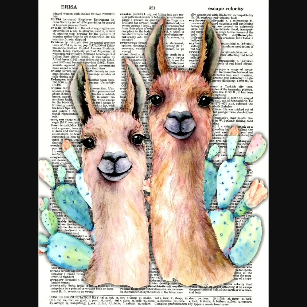 Llama Duo Cactus Blossom Dictionary Art Print